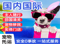 朔州机场货运国际宠物托运 【国